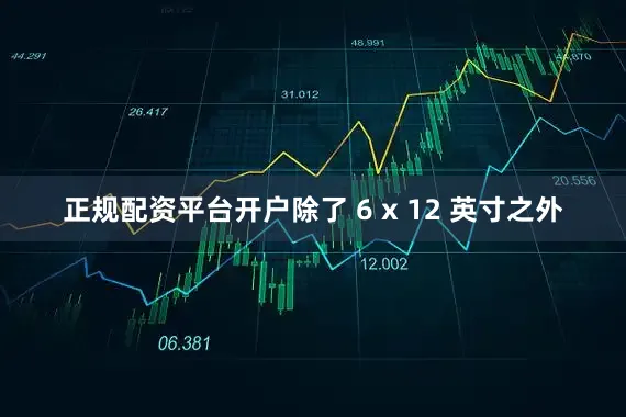 正规配资平台开户除了 6 x 12 英寸之外