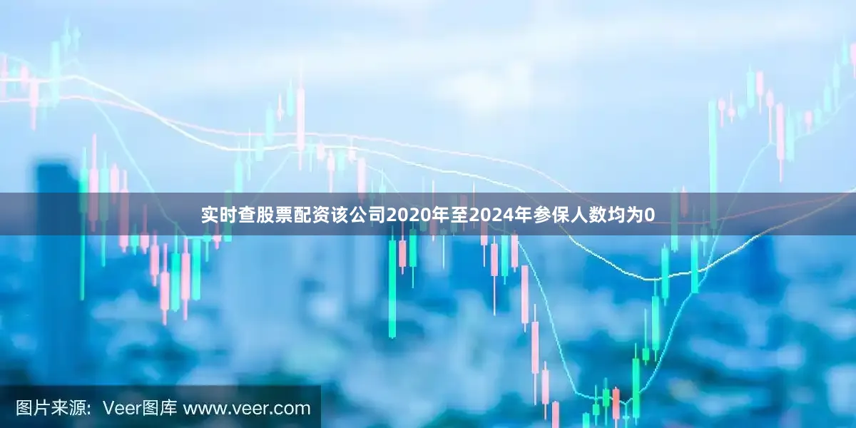 实时查股票配资该公司2020年至2024年参保人数均为0